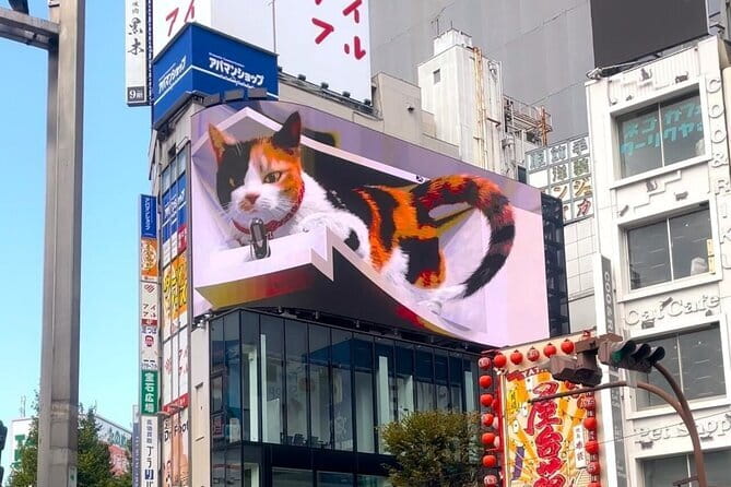 Tokyo: Gotokuji Lucky Cat Temple, Shinjuku Cat Cafe, 3D Giant Cat - Shinjuku Station’s East Exit: The Giant 3D Cat Stop