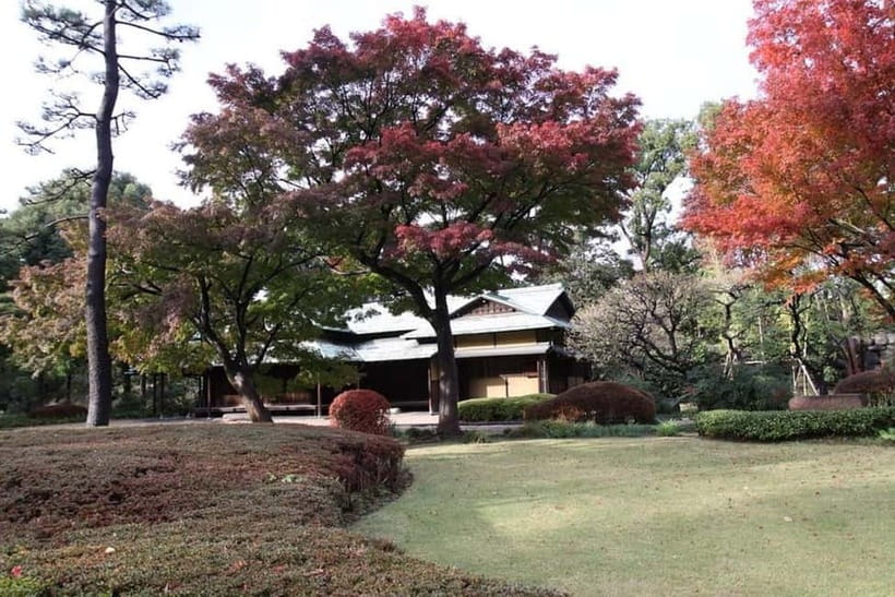 Tokyo: Guided Exploration with a Private Driver - Neighborhood flexibility: places like Harajuku, Asakusa, or Daikanyama
