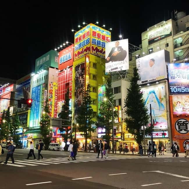 Tokyo: Guided Exploration with a Private Driver - Imperial Palace and Tokyo National Museum: culture after the shopping