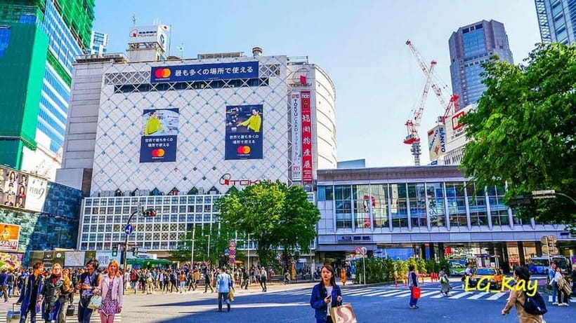 Tokyo: Guided Exploration with a Private Driver - The private driver setup: how the day stays on track