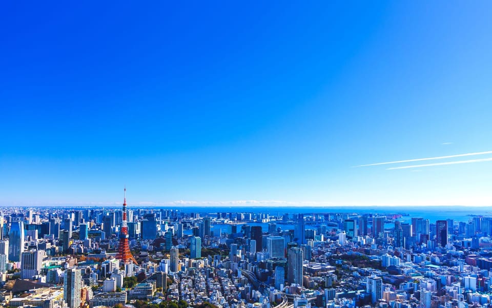 Tokyo: Guided Helicopter Ride - Meeting Tokyo Heliport: What to do when you arrive