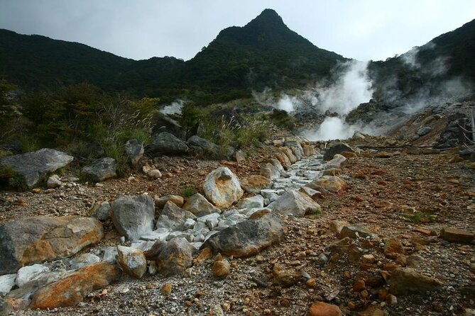 Tokyo Hakone : Mt.Fuji, Owakudani, Open Air Museum, Hakone Shrine - Key highlights that make this tour worth a day out