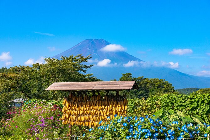 Tokyo Hakone : Mt.Fuji, Owakudani, Open Air Museum, Hakone Shrine - Owakudani: sulfur vents, steaming trails, and the black egg ritual