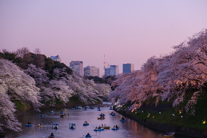Tokyo Half-day Customized Private Tour - Price and what $143 really buys (and what it doesn’t)