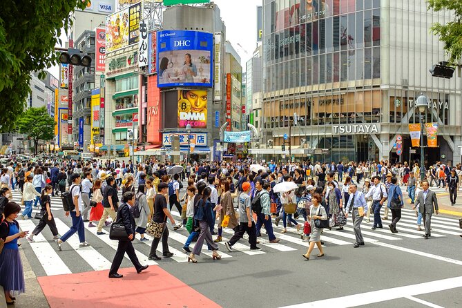 Tokyo Half-day Customized Private Tour - What you should look for when choosing your guide fit