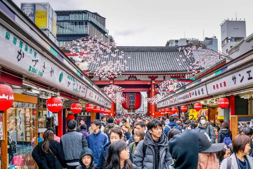 Tokyo: Half-Day Morning Small Group Tour - Why This 3-Hour Morning Route Works in Tokyo
