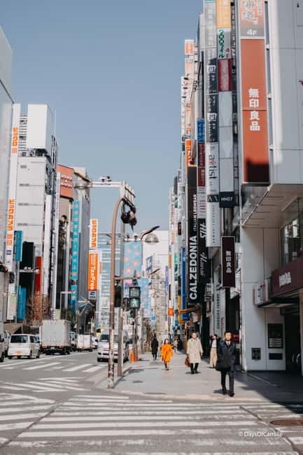Tokyo, half day : private tour with an expert ! - Key highlights to notice before you go
