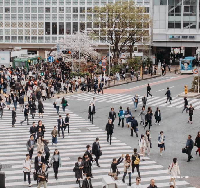 Tokyo, half day : private tour with an expert ! - A private half-day that feels like Tokyo, not a checklist