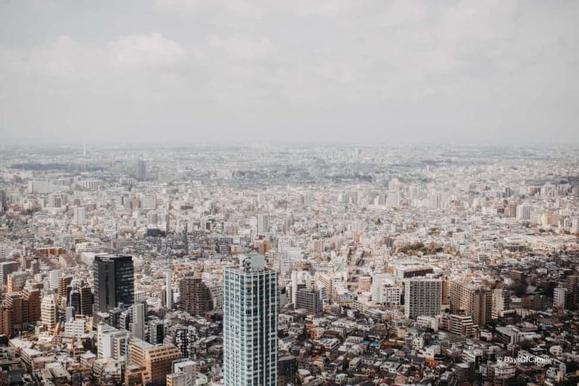 Tokyo, half day : private tour with an expert ! - Meiji Shrine forest walk: a calmer Tokyo reset