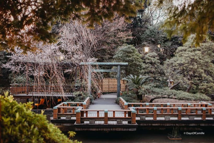 Tokyo, half day : private tour with an expert ! - Price and value: what you’re paying for (and what’s extra)