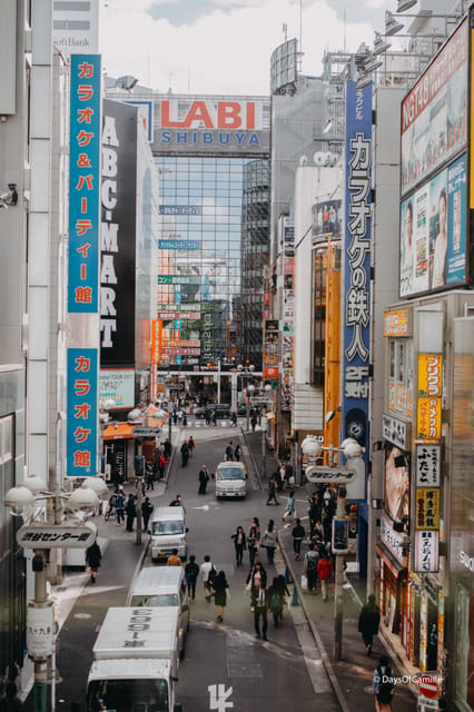 Tokyo, half day : private tour with an expert ! - Language, comfort, and pace: how it works day-to-day