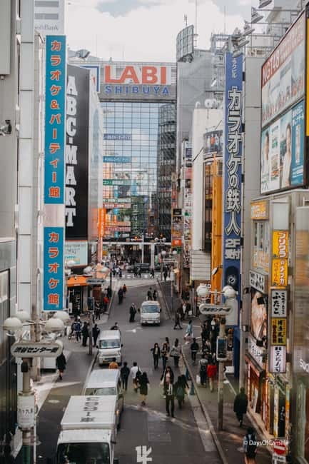 Tokyo, half day : private tour with an expert ! - Who this Tokyo half-day tour suits best