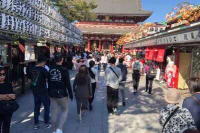 Tokyo Half Walking Day Tour with a Local Expert Guide - Getting started: hotel pickup, mobile ticket, and what to pack