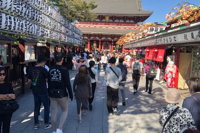 Tokyo Half Walking Day Tour with a Local Expert Guide - Getting started: hotel pickup, mobile ticket, and what to pack