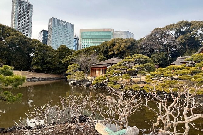 Tokyo: Hama-rikyu Gardens tour with Japanese Tea & Sweets - Hamarikyu Gardens: Edo-era calm in the middle of Tokyo