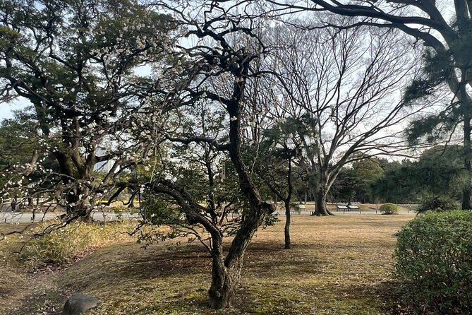 Tokyo: Hama-rikyu Gardens tour with Japanese Tea & Sweets - Seasonal changes you can actually notice (even on a short visit)