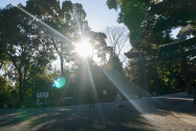 Tokyo: Harajuku Meiji Shrine to Shibuya Crossing Guided Tour - Shibuya Crossing: Photo Time Built for the Real Thing