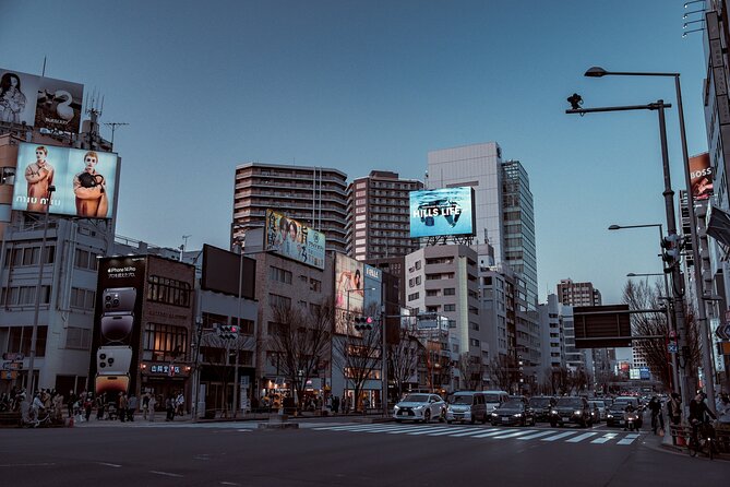 Tokyo Harajuku Walking Tour Meiji Jingu Yoyogi Park and More - Key highlights at a glance