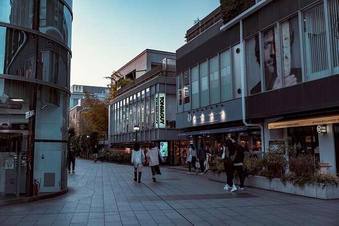 Tokyo Harajuku Walking Tour Meiji Jingu Yoyogi Park and More - Getting started at Harajuku Station at 1:00 pm