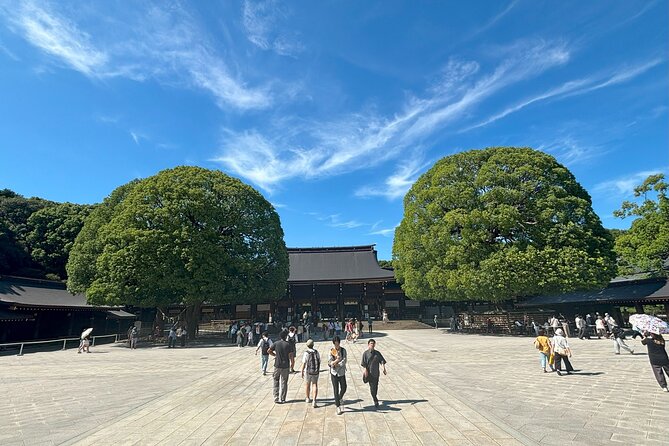 Tokyo Harajuku Walking Tour Meiji Jingu Yoyogi Park and More - Stop 3: Takeshita Street for street fashion, quick snacks, and capsule toy fun