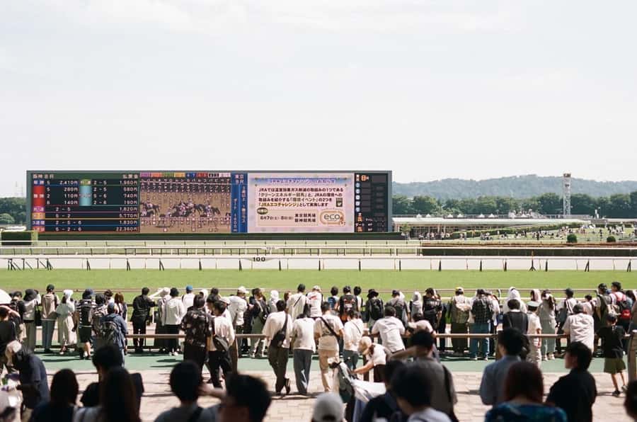 Tokyo: Horse Racing Tour with Local Fan - Why Japanese horse racing feels like a real Tokyo experience