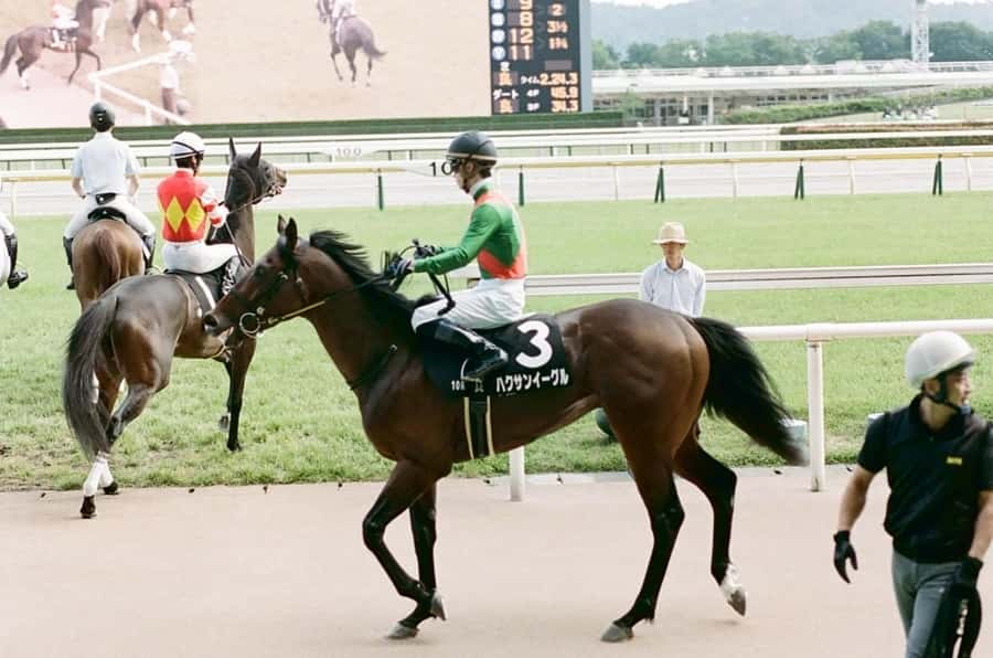 Tokyo: Horse Racing Tour with Local Fan - Getting to the racecourse: trains are on you