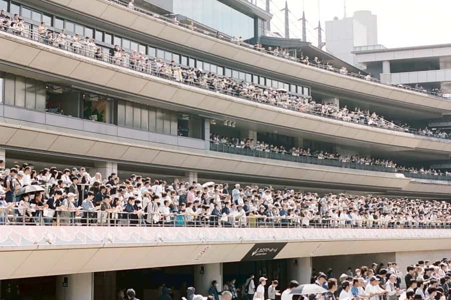 Tokyo: Horse Racing Tour with Local Fan - Price and value: what $60 actually buys you