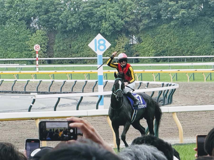 Tokyo: Horse Racing Tour with Local Fan - Which racecourse you’ll visit: Tokyo, Nakayama, Oi, or Kawasaki