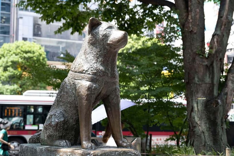 Tokyo: Iconic City Tour – Skytree, Shibuya & Imperial Palace - Key Points Worth Your Time