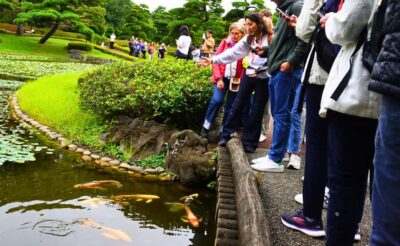 Tokyo: Imperial Palace, the history of Japan (ENGLISH GUIDE) - Price and what you get for $40: a guided historical walking loop