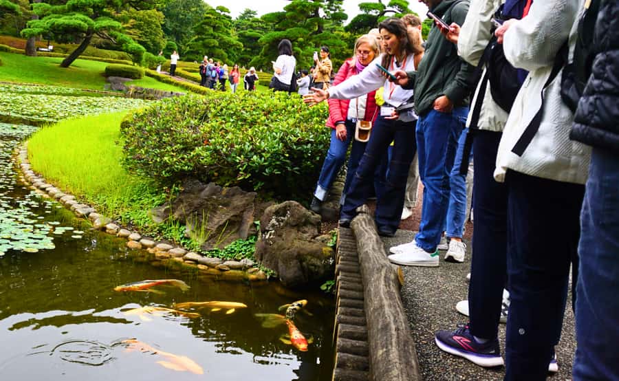Tokyo: Imperial Palace, the history of Japan (ENGLISH GUIDE) - Price and what you get for $40: a guided historical walking loop