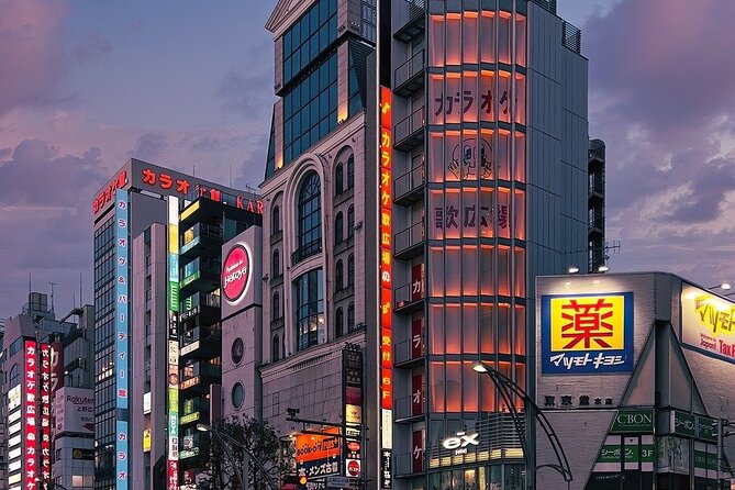 Tokyo in a Day : Private Tour to Shrine, Temples, Towers &Culture - Akihabara Electric Town: gadgets, anime, and shopping energy