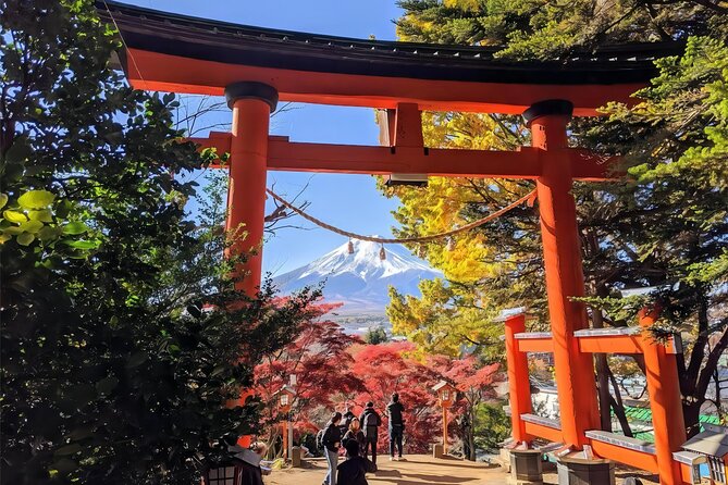 Tokyo: Instagram-Worthy Mt Fuji & Lake Kawaguchiko Day Trip - Lake Kawaguchi Ohashi Bridge and Oishi Park: flowers when Fuji cooperates