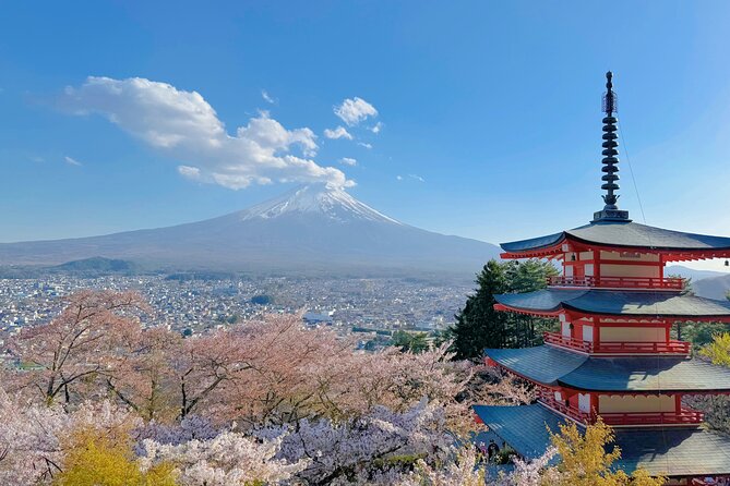 Tokyo: Instagram-Worthy Mt Fuji & Lake Kawaguchiko Day Trip - Price and what $161 really buys you