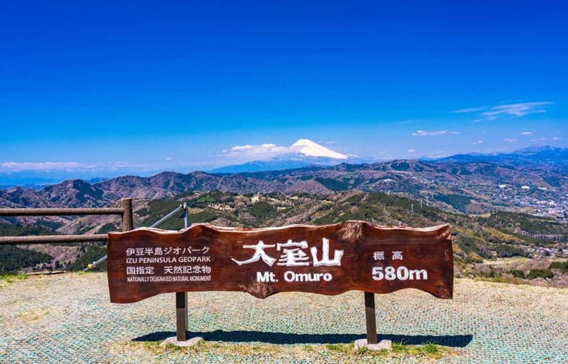 Tokyo: Izu Scenic Oceanview Train, Volcano, Coast Day Trip - Who This Tour Fits Best (and who should skip)