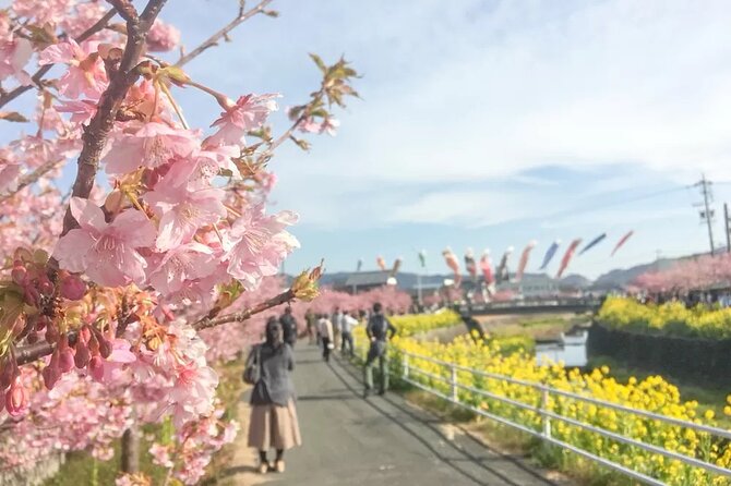 Tokyo-Izu: Volcano, Ocean& Capybara Cuddle with Izu Scenic Train - Who this day trip is best for