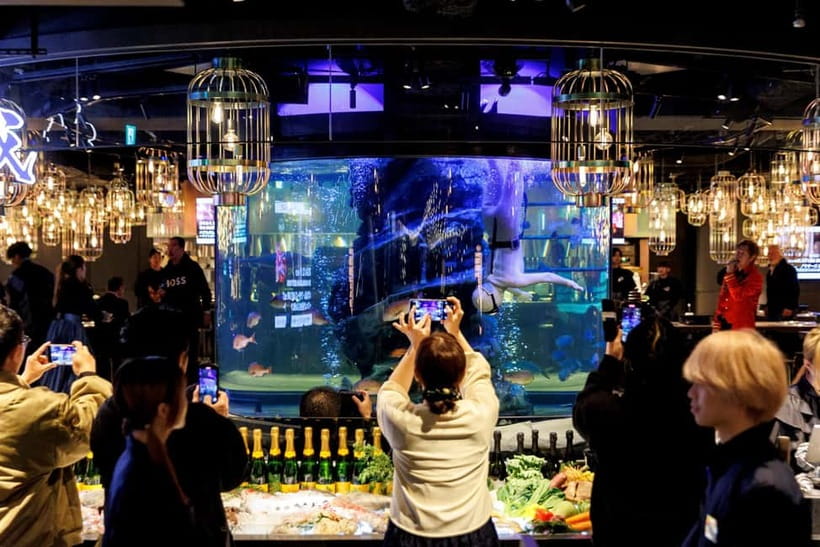 Tokyo: Japanese Experiece Dinner with Diving Ama Performance - Key Things to Know Before You Go