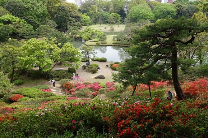 Tokyo Japanese Garden Lover's Private Tour with Government-Licensed Guide - Key points that make this Tokyo garden tour worth your time