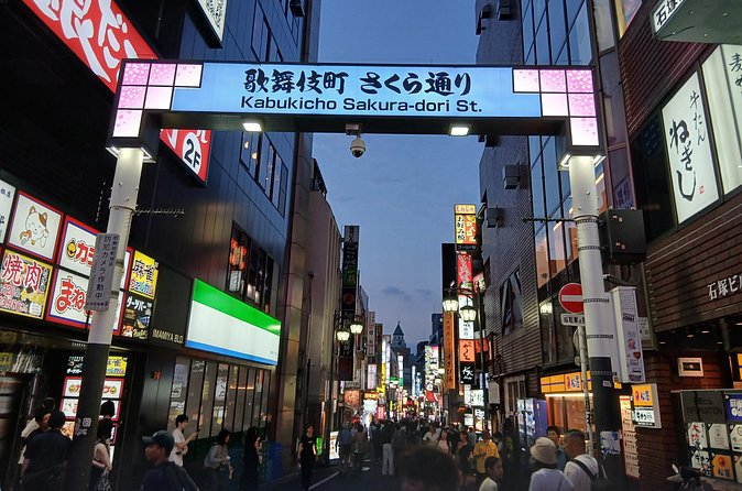 Tokyo Kabukicho Tour & Dinner Party - for Adults Only - Who This Tour Suits Best (and Who Might Skip It)