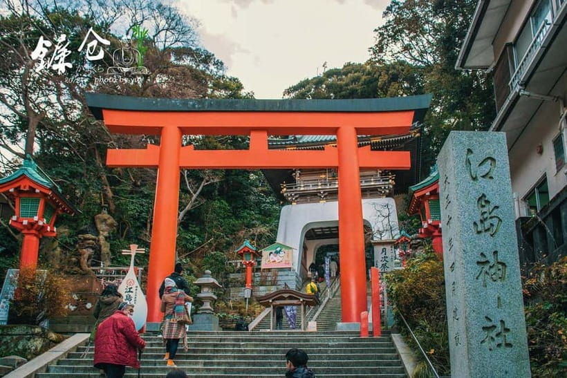 Tokyo: Kamakura & Enoshima Day Tour with Pickup & Train Ride - Komachi Street: Snacks, souvenirs, and a flexible half-hour