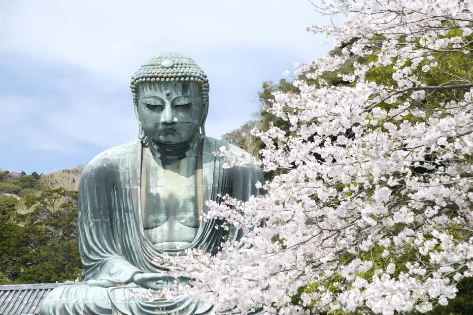 Tokyo: Kamakura & Enoshima Day Tour with Pickup & Train Ride - Great Buddha of Kamakura: What you see and what you may pay