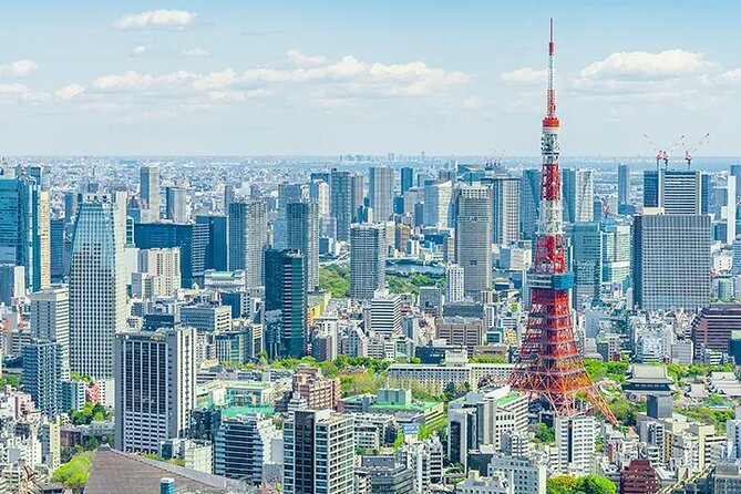 Tokyo Layover 5 Hours Private Tour - Pickup, luggage storage, and onboard comfort that actually helps