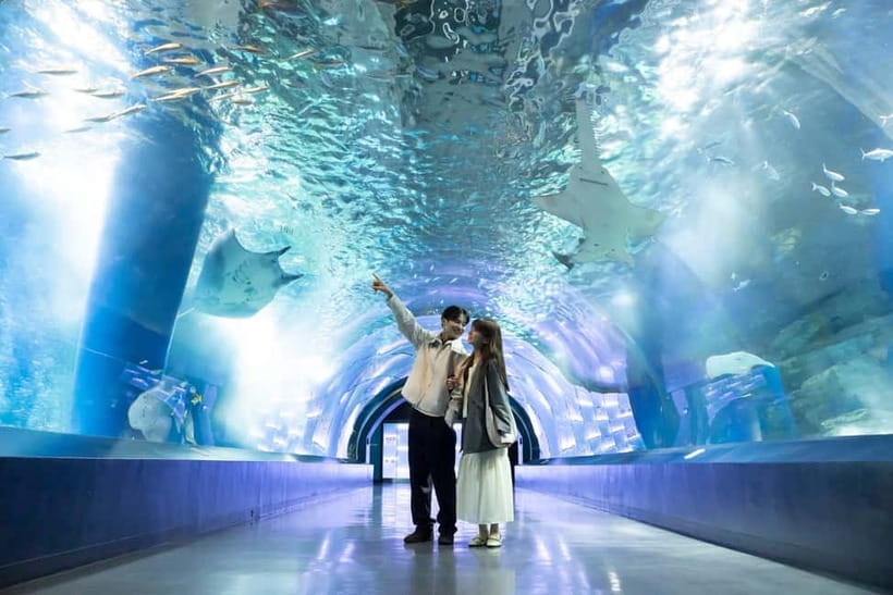 Tokyo: Maxell Aqua Park Shinagawa Direct Entry Ticket - Direct-entry ticket: the time savings near Shinagawa matter