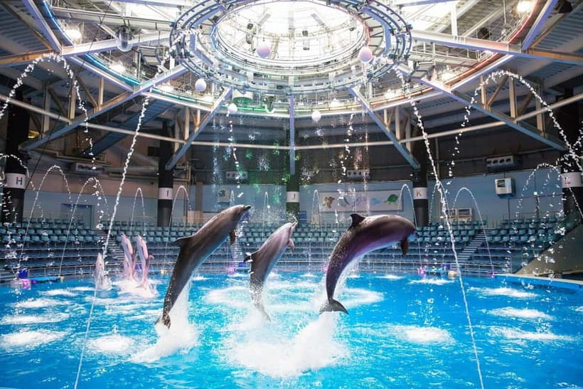 Tokyo: Maxell Aqua Park Shinagawa Direct Entry Ticket - What you’ll see inside: 20,000 creatures across 350 species