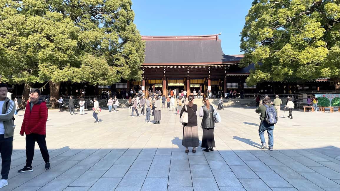 Tokyo: Meiji Jingu, Harajuku, Shibuya, and Shijuku Tour - A smart way to see West Tokyo in just 4 hours