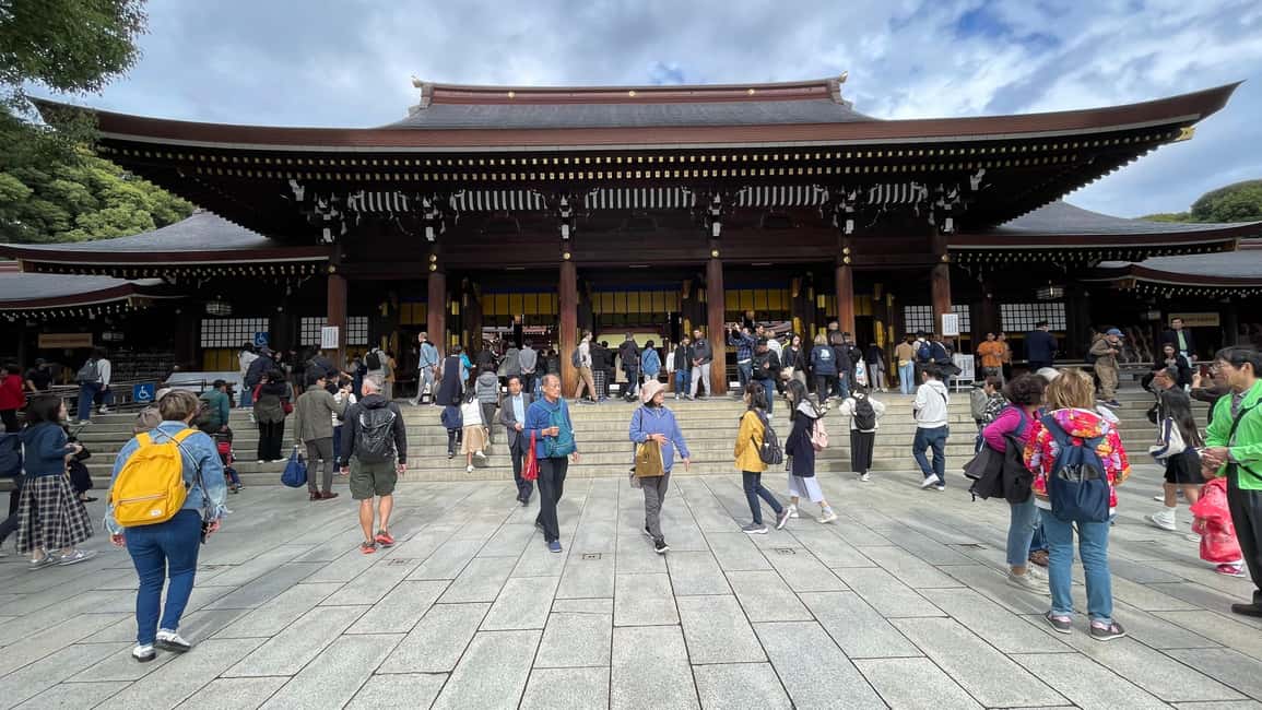 Tokyo: Meiji Jingu, Harajuku, Shibuya, and Shijuku Tour - Price and value: what you’re really paying for