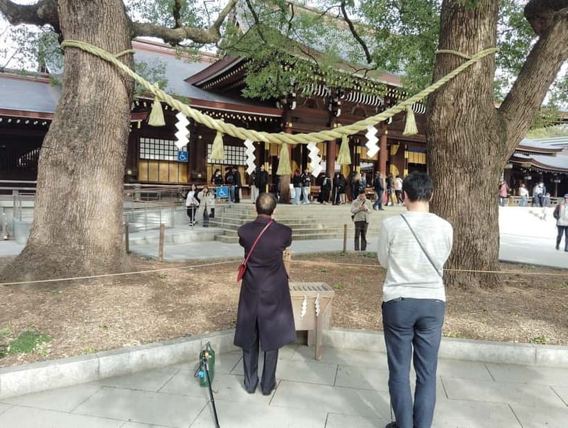 Tokyo: Meiji Jingu Shrine & Inner Garden Guided Tour (2h) - The sake barrel offering and the Eternal Forest meaning