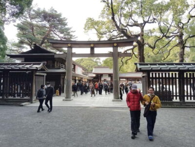 Tokyo: Meiji Jingu Shrine & Inner Garden Guided Tour (2h) - The 2-hour route: what you’ll see (and what you may skip)