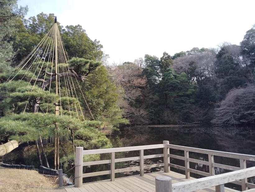 Tokyo: Meiji Jingu Shrine & Inner Garden Guided Tour (2h) - Handwashing at the grand torii: how to do the ritual right