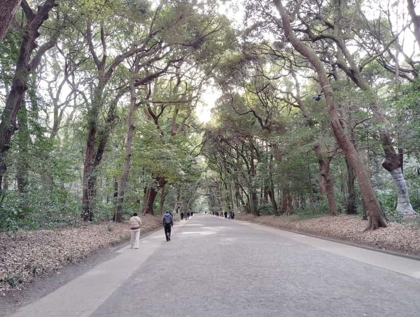 Tokyo: Meiji Jingu Shrine & Inner Garden Guided Tour (2h) - How the guides shape the experience: Minoru-San, Kai, Kyo, Takashi